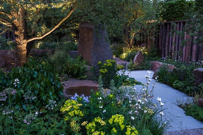 Lighting in a woodland garden