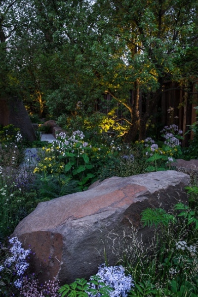 Lighting in a woodland garden