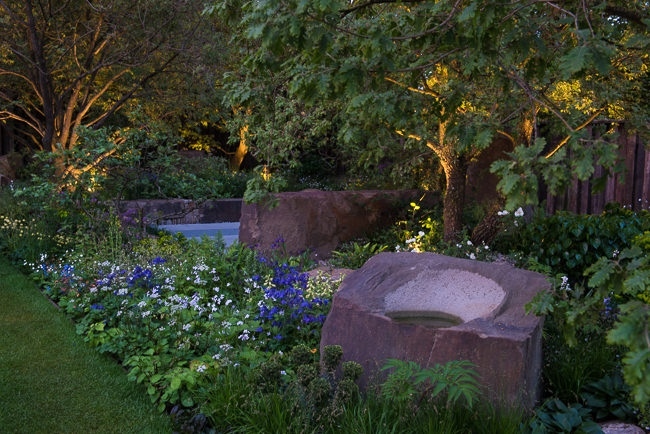 Lighting in a woodland garden