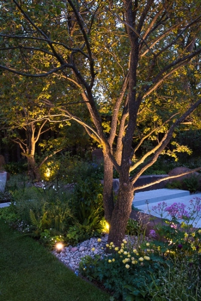 Lighting in a woodland garden