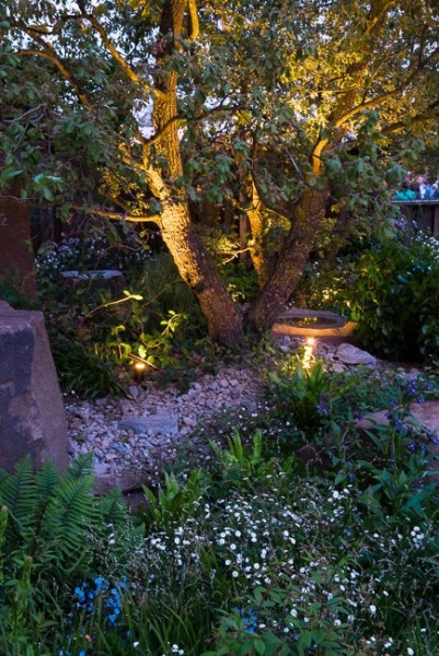 Lighting in a woodland garden