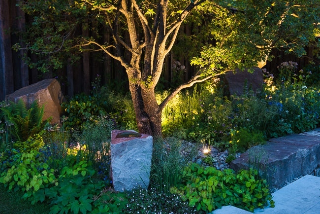Lighting in a woodland garden