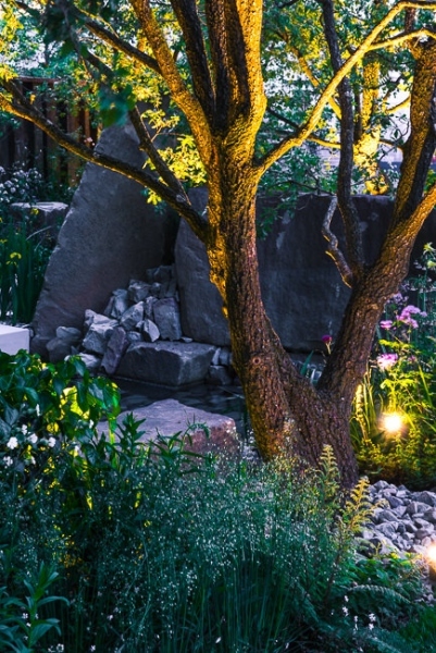 Lighting in a woodland garden