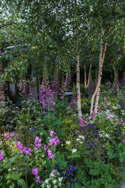 Woodland garden beside a rill running around the edge of a conservatory