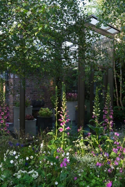 Woodland garden beside a rill running around the edge of a conservatory