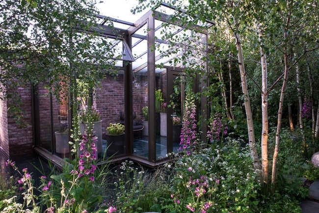 Woodland garden beside a rill running around the edge of a conservatory