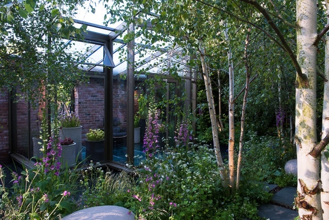 Woodland garden beside a rill running around the edge of a conservatory
