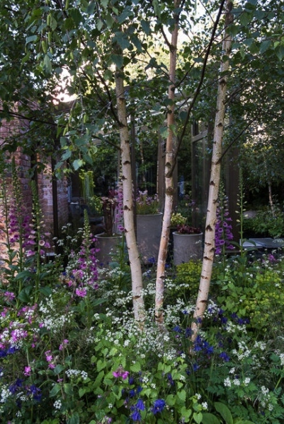 Woodland garden beside a rill running around the edge of a conservatory