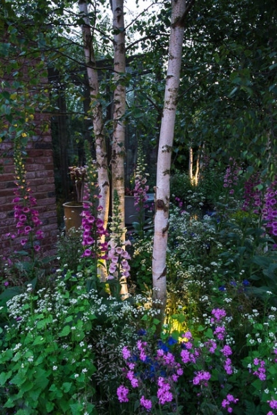 Lighting in a woodland garden beside a rill running around the edge of a conservatory