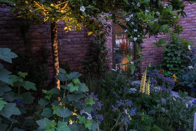 Lighting in a kitchen garden beside a pathway leading up to a Lean to conservatory