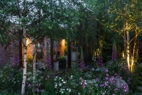 Lighting in a woodland garden beside a rill running around the edge of a conservatory