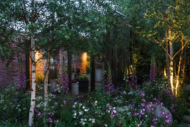 Lighting in a woodland garden beside a rill running around the edge of a conservatory