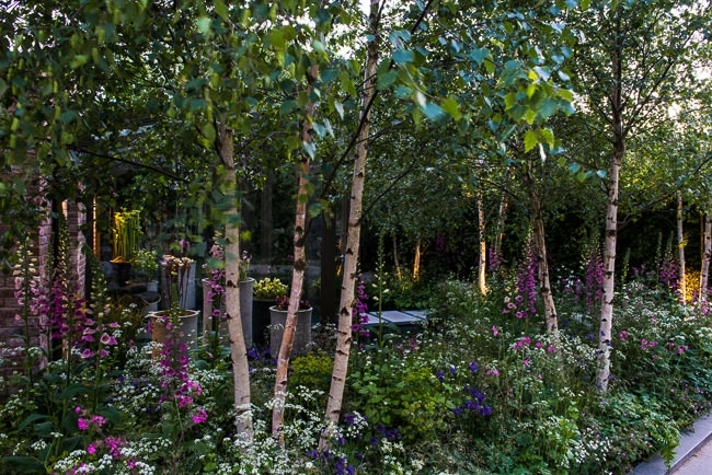 Stepping stone pathway over a water  pool in a woodland garden