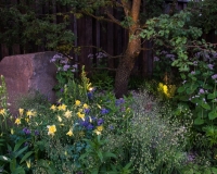 Lighting in a woodland garden