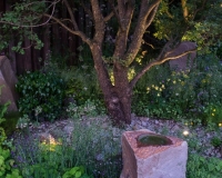 Lighting in a woodland garden