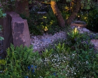 Lighting in a woodland garden