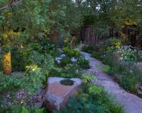 Lighting in a woodland garden