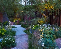 Lighting in a woodland garden
