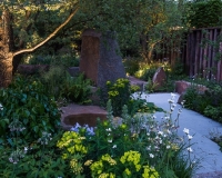 Lighting in a woodland garden