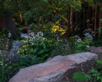 Lighting in a woodland garden