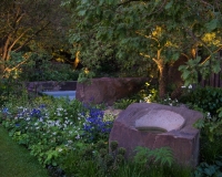 Lighting in a woodland garden