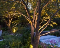 Lighting in a woodland garden