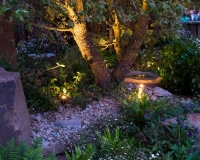 Lighting in a woodland garden
