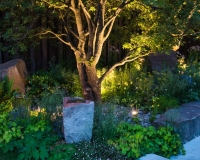 Lighting in a woodland garden