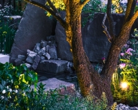 Lighting in a woodland garden