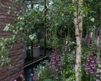 Woodland garden beside a rill running around a conservatory