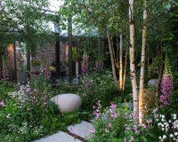 Woodland garden beside a rill running around the edge of a conservatory