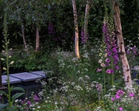 Stepping stone pathway over a water  pool in a woodland garden
