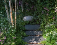 Pathway in a woodland garden leading towards a large stone shaped rock as a focal point