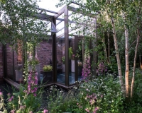 Woodland garden beside a rill running around the edge of a conservatory