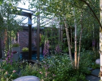 Woodland garden beside a rill running around the edge of a conservatory