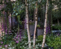 Woodland garden beside a rill running around the edge of a conservatory