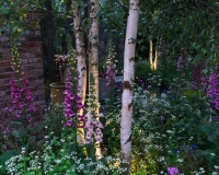 Lighting in a woodland garden beside a rill running around the edge of a conservatory