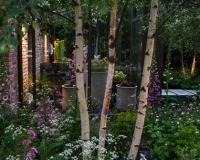 Lighting in a woodland garden beside a rill running around the edge of a conservatory