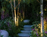 Lighting in a woodland garden beside a pathway