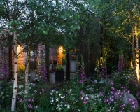 Lighting in a woodland garden beside a rill running around the edge of a conservatory