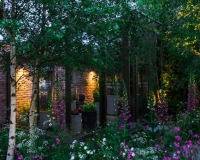 Lighting in a woodland garden beside a rill running around the edge of a conservatory