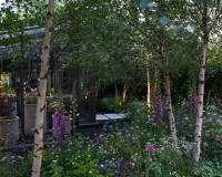 Stepping stone pathway over a water  pool in a woodland garden