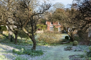 Little Court