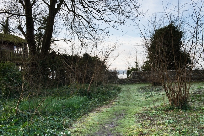 The wild garden with a tree house and views out over open countryside