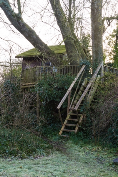 Tree house