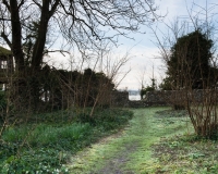 The wild garden with a tree house and views out over open countryside
