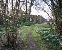 Pathway leading towards tree house with flowering currant Ribes sanguinium 'Elkington's White' and a carpet of snowdrops