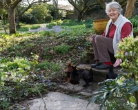 Mrs Elkington feeding her chickens in her garden in early spring