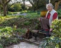 Mrs Elkington feeding her chickens in her garden in early spring