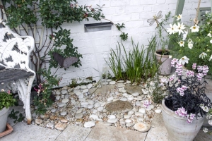 White Courtyard Garden